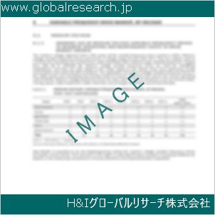 グローバルリサーチ調査資料のイメージ